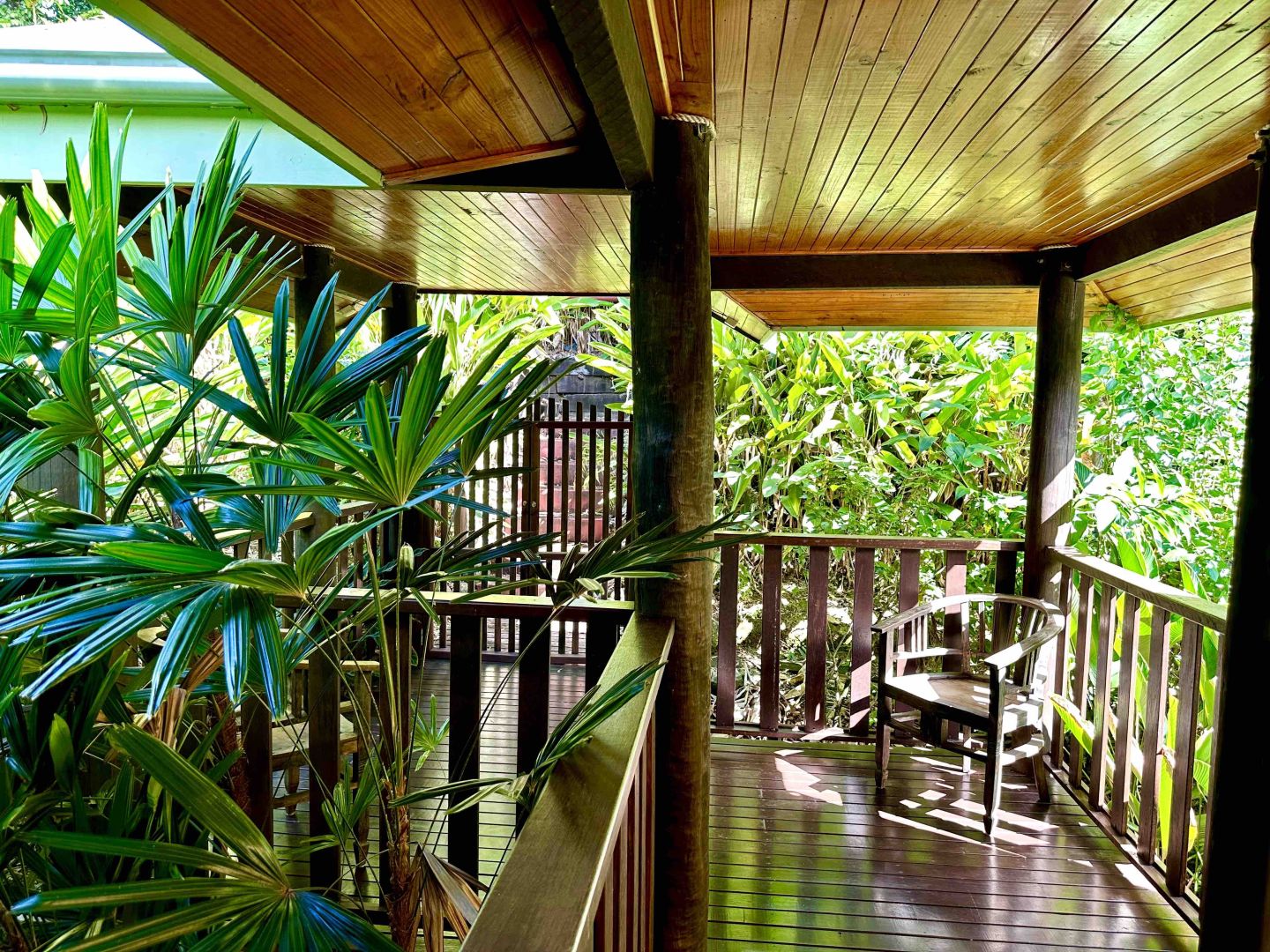 25-020-family-retreats-papillon-on-coral-sea-mossman-gorge