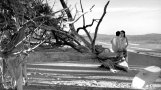 Absolute by Darryn Lyons Weddings 002