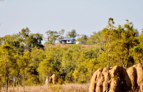 Ironbark on the Tableland Ironbark on the Tableland