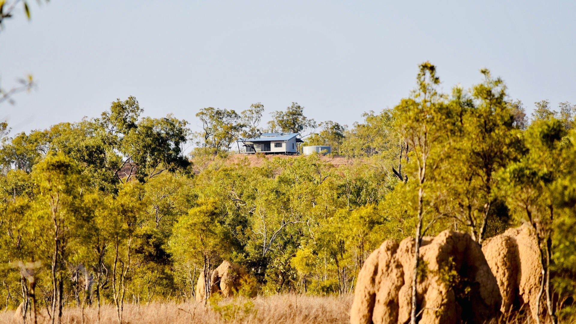 Ironbark on the Tableland