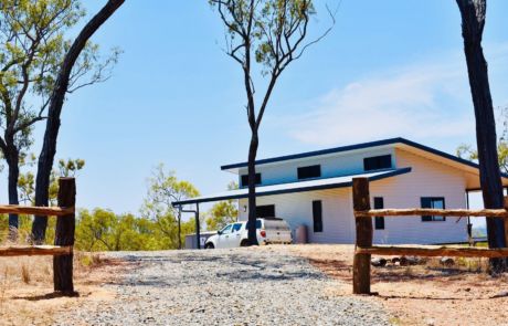 Ironbark on the Tableland Ironbark on the Tableland