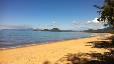 Landing Page Palm Cove