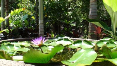 Pearl on Newell Beach 078