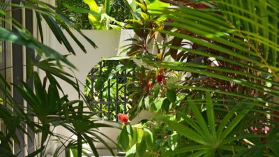 Pearl on Newell Beach 080