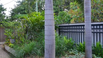 Pearl on Newell Beach 083