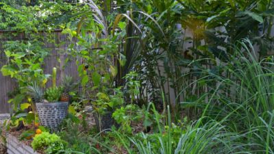 Pearl on Newell Beach 084