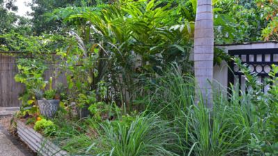 Pearl on Newell Beach 086