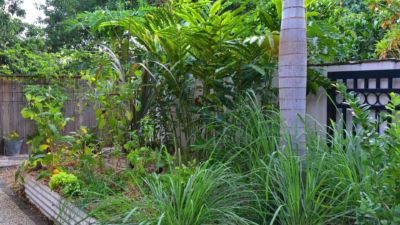 Pearl on Newell Beach 087