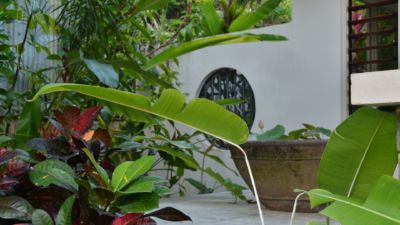 Pearl on Newell Beach 088