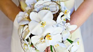 Pearl on Newell Beach Wedding 002