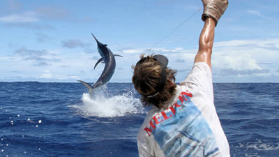 Port Douglas Marlin Challenge
