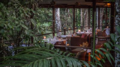 Silky Oaks Lodge 008