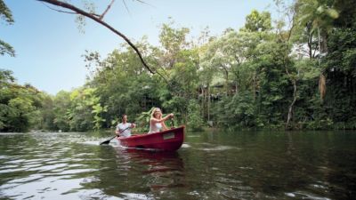 Silky Oaks Lodge 017