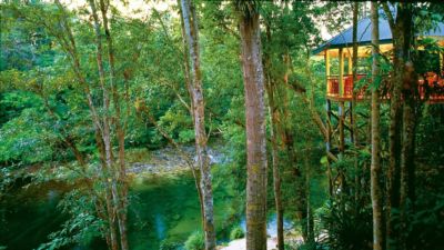 Silky Oaks Lodge 018