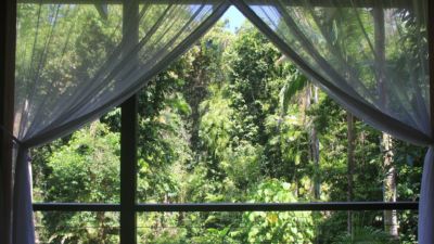 Silky Oaks Lodge 024