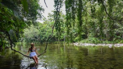 Silky Oaks Lodge 029