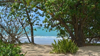The Beach House on Oak Beach 022