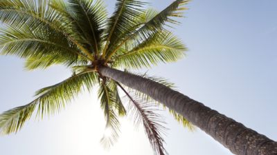 The Beach Villa on Newell 009