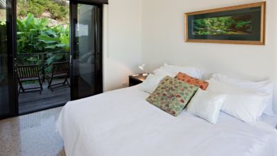 The Cassowary The Cassowary