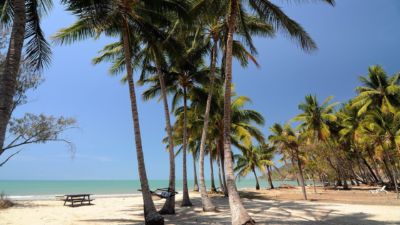 Thirty One Degrees 011