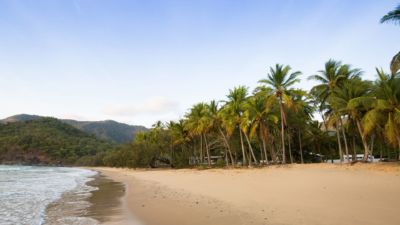 Thirty One Degrees 017