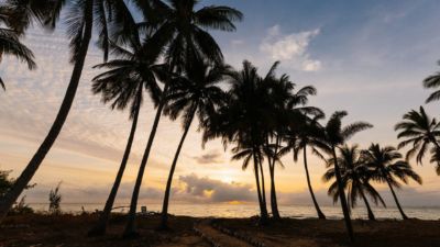 Thirty One Degrees Thirty One Degrees