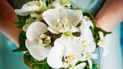 amale – Sundaram Wedding 002 amale - Sundaram Wedding 002